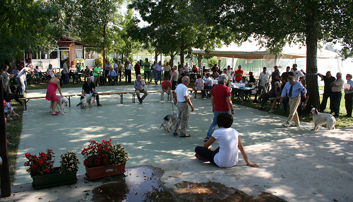 Momenti del ring setter inglesi e Gordon